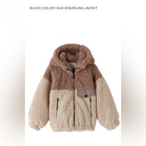 Zara Teddy Bear Jacket